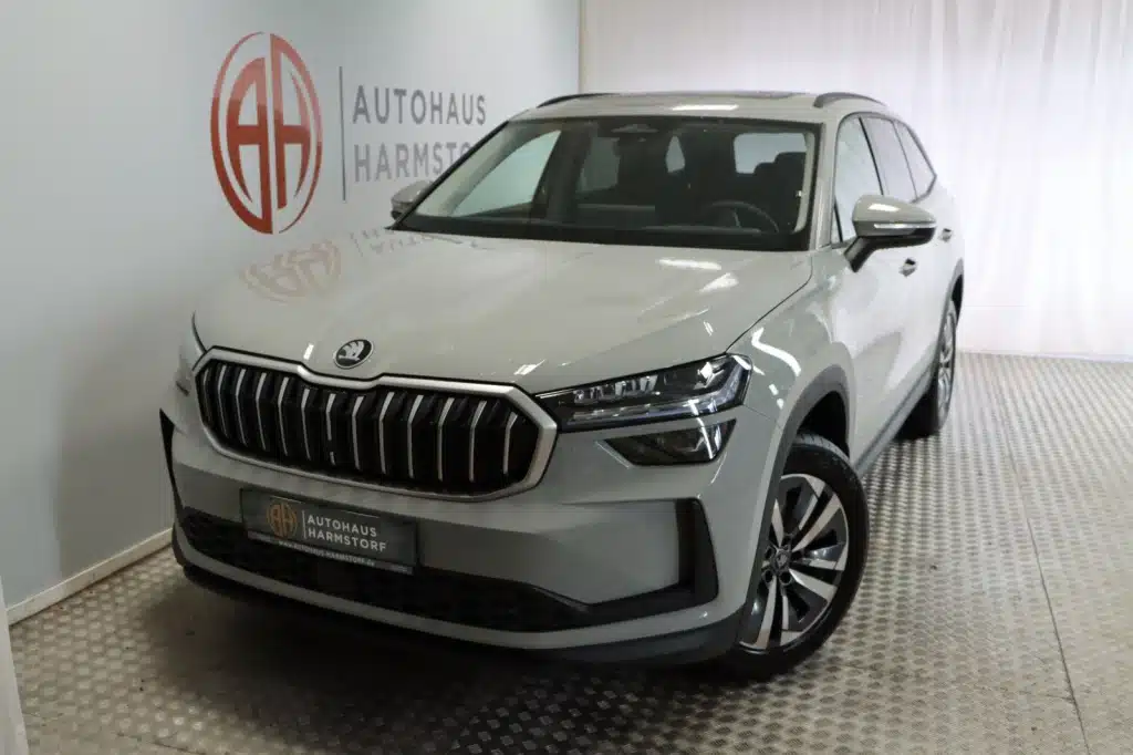 199 Kodiaq 1.5 TSI 5 199 Kodiaq 1.5 TSI AHK Matrix Panoramadach Kamera
