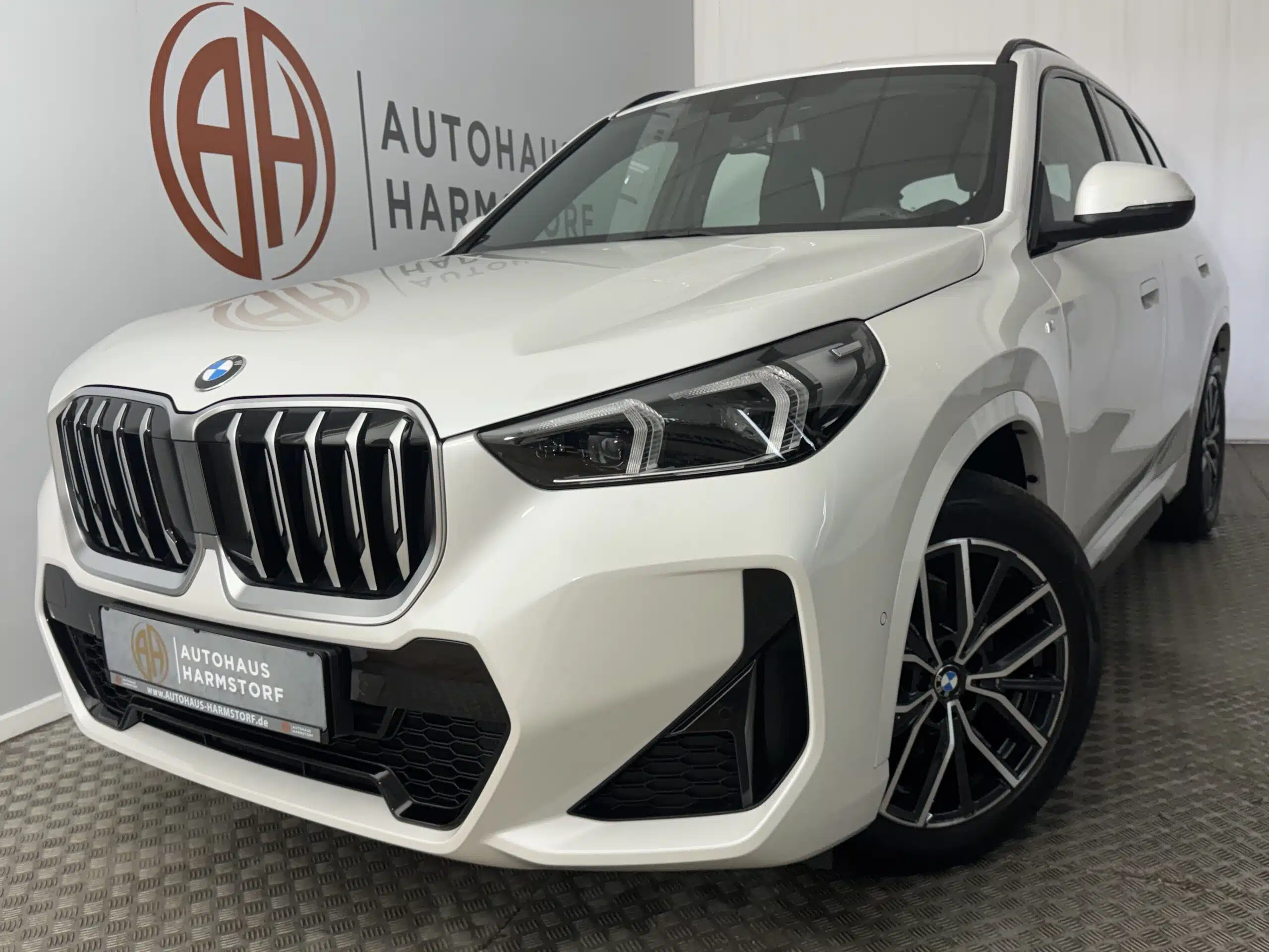 136 BMW X1 18 i sDrive M Sport Kamera Navi LED - MINERALWEISS METALLIC