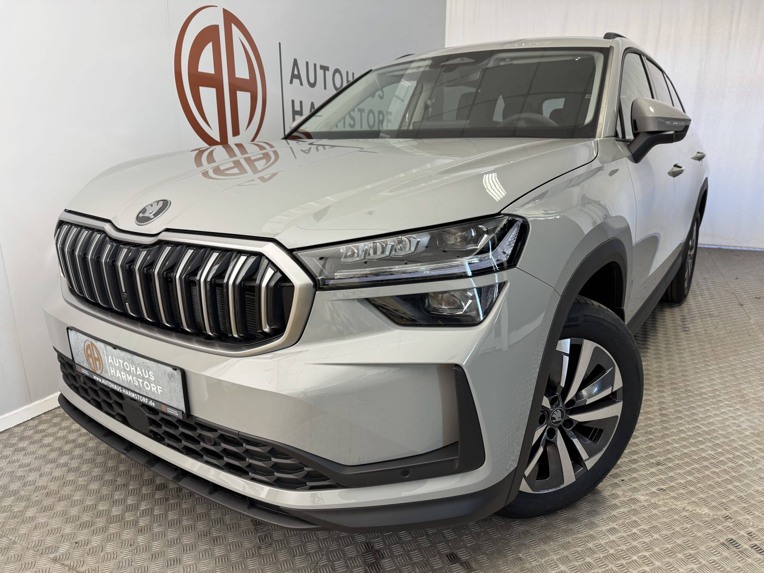 Nr. 169 Skoda Kodiaq 1.5 TSI Selection Matrix 7-Sitze AHK - Stahlgrau