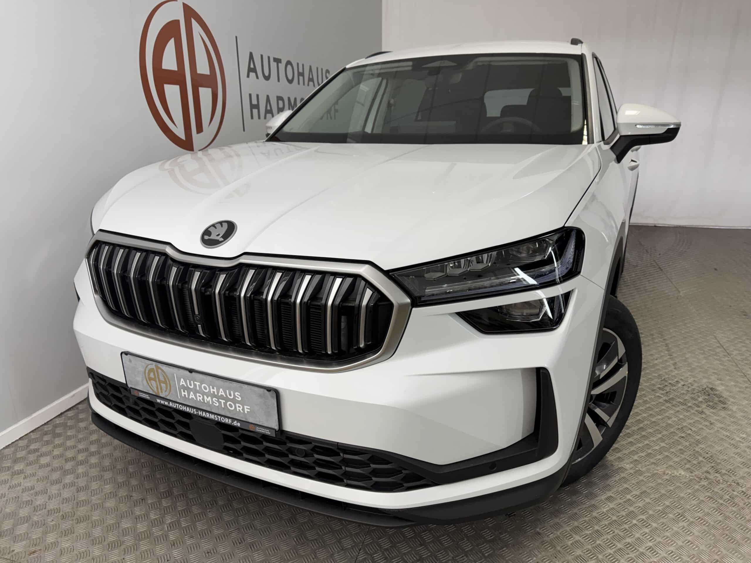 Nr. 200 Skoda Kodiaq 1.5 TSI Selection Matrix7-Sitze AHK - Moon-Weiss Metallic