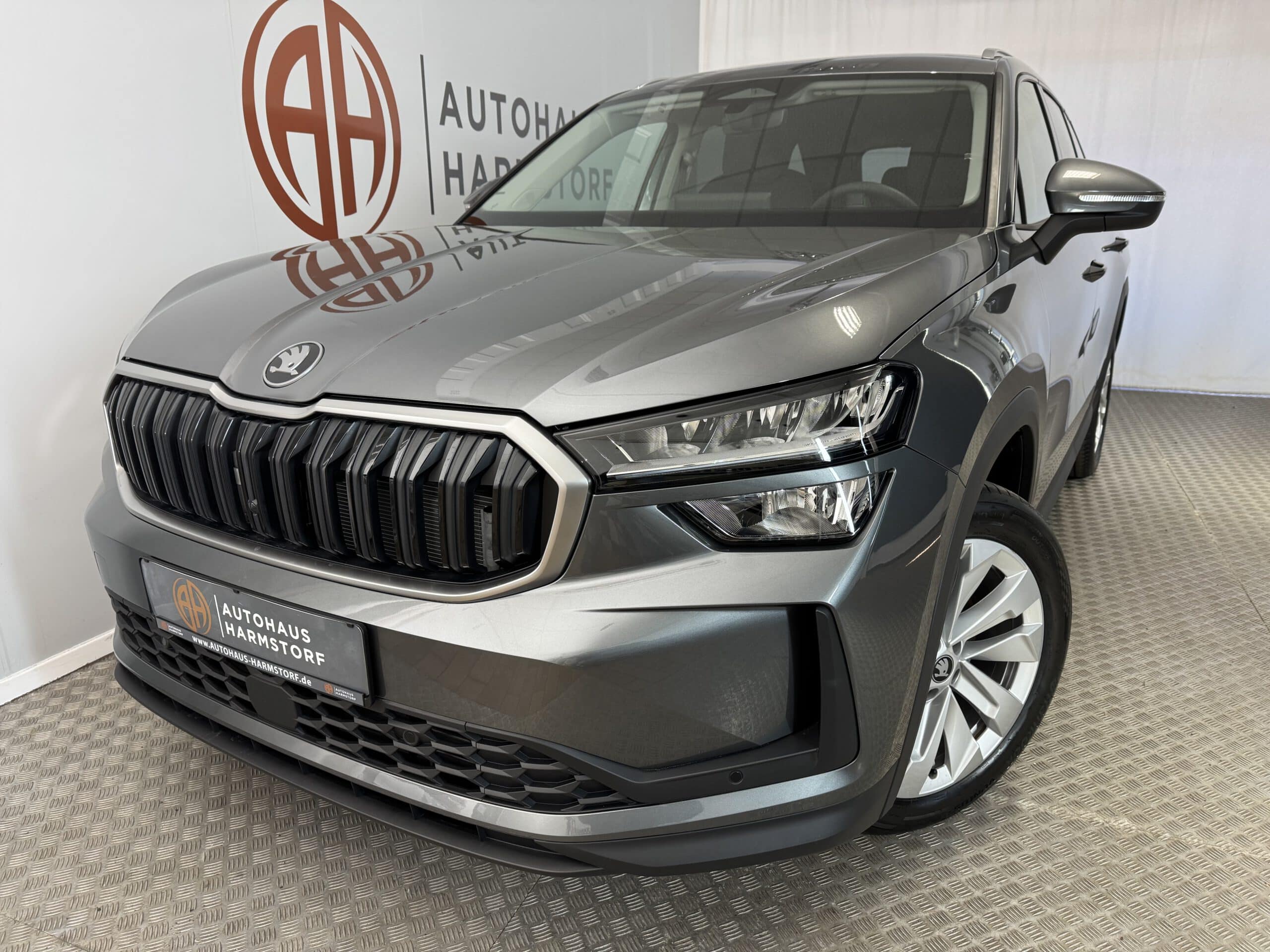Nr. 244 Skoda Kodiaq 2.0 TDI 142 kW 4x4 Sel. AHK Navi 19 Zoll - Graphite-Grau Metallic
