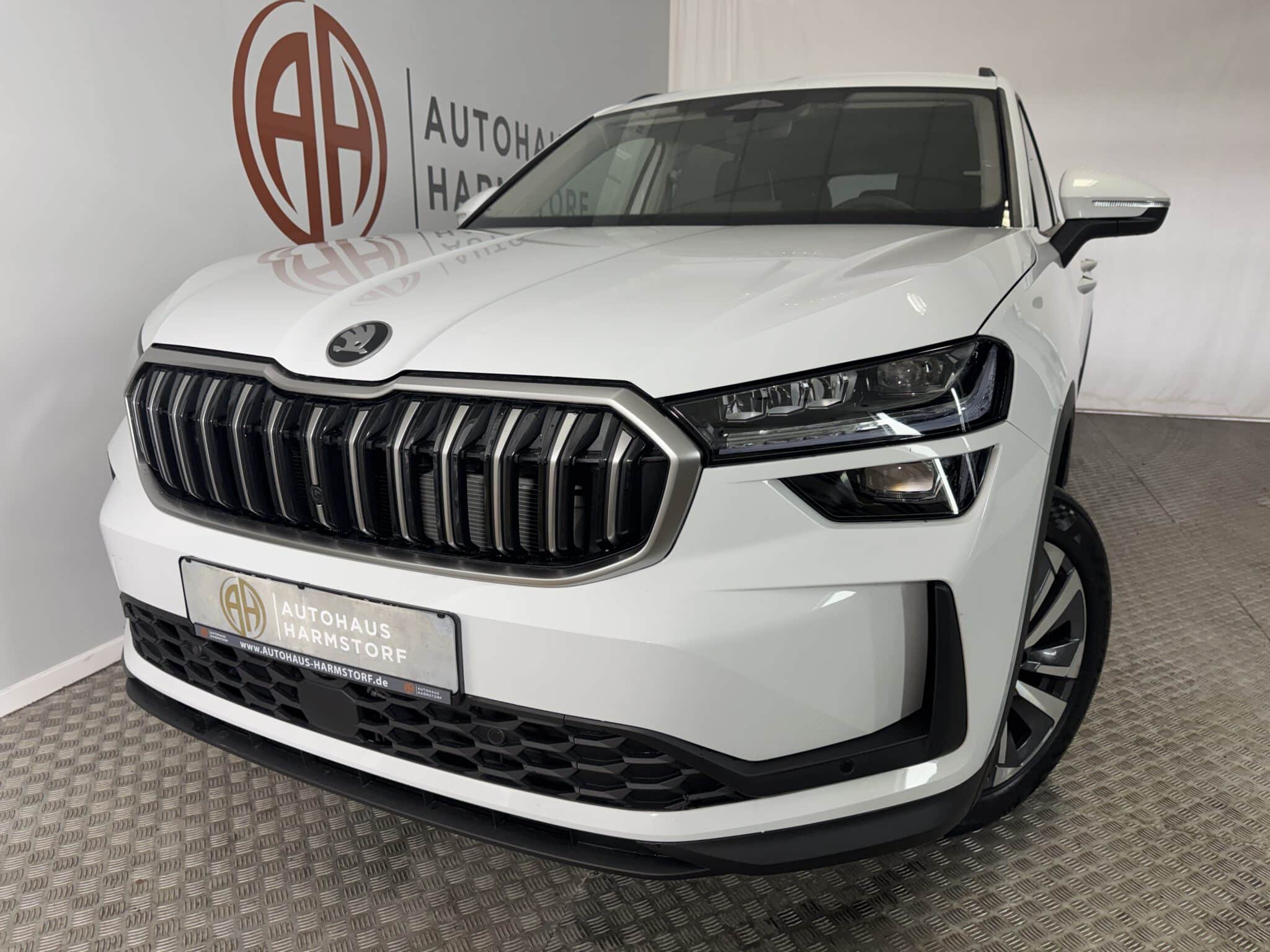 Nr. 213 Skoda Kodiaq 1.5 TSI Selection AHK Panodach Matrix - Moonweiß-Metallic