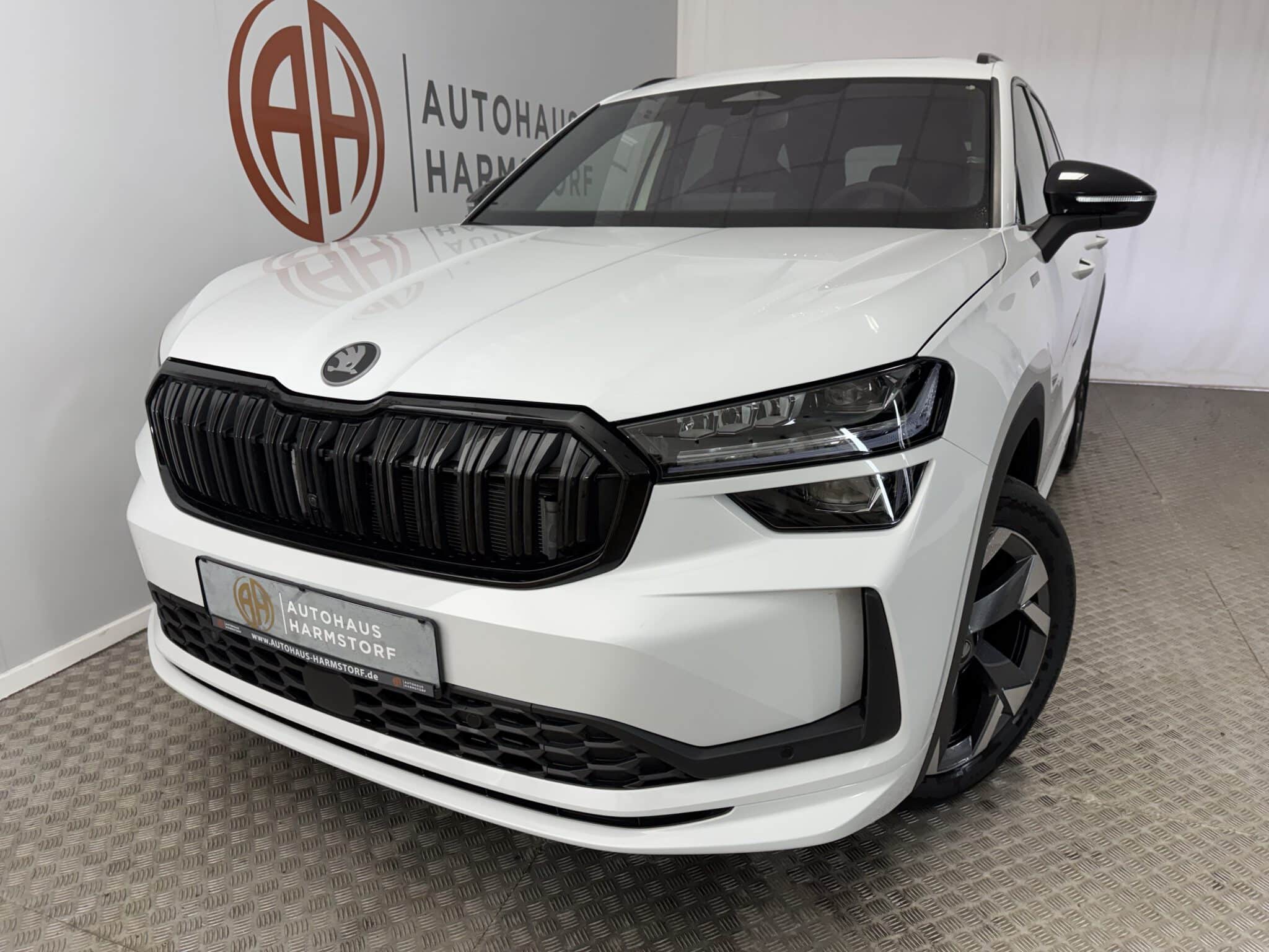Nr. 291 Skoda Kodiaq 1.5 TSI Sportline AHK Panodach Matrix - Moonweiß-Metallic