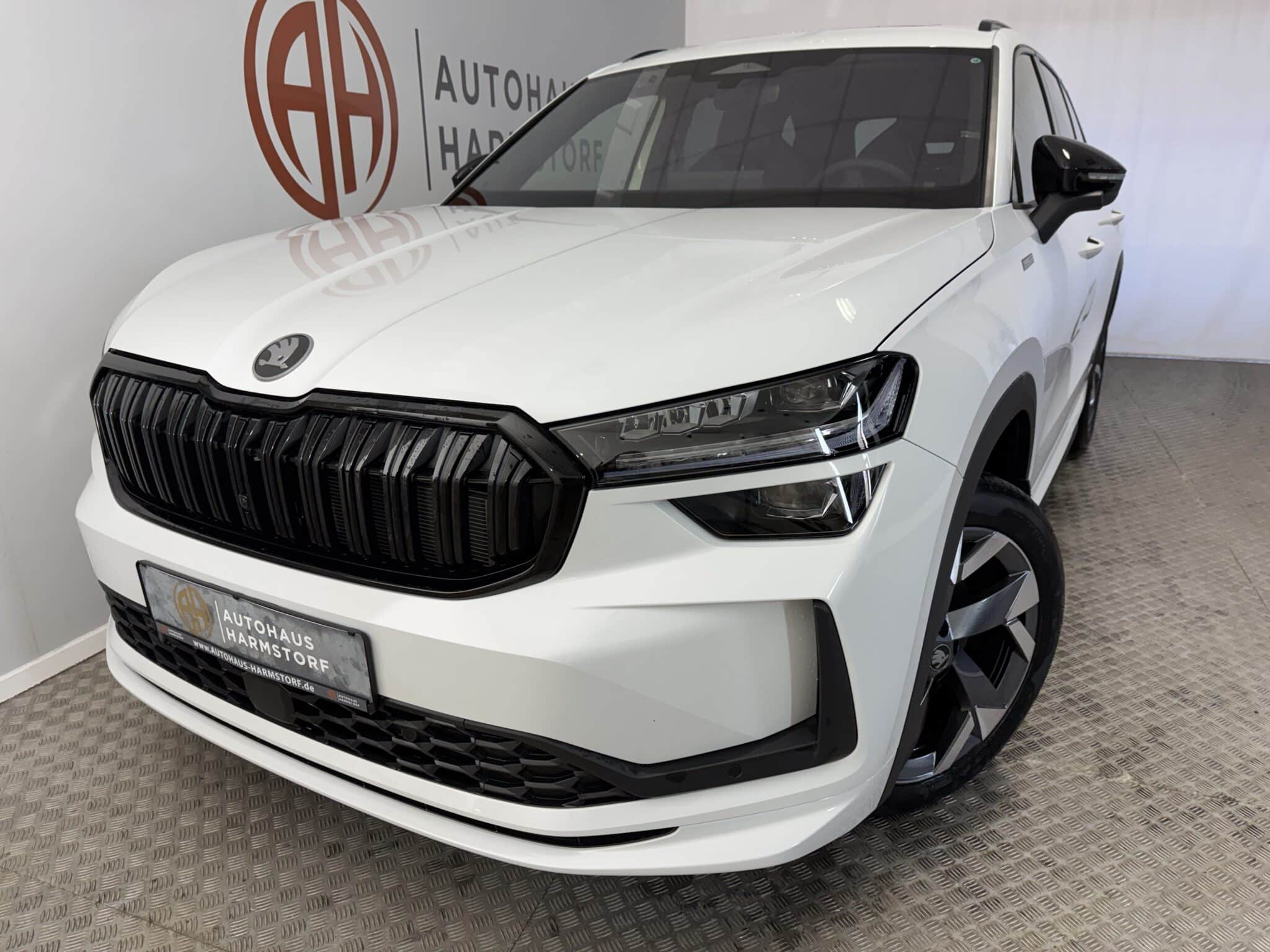 Nr. 163 Skoda Kodiaq 1.5 TSI Sportline 7-Sitze Panodach AHK - Moonweiß Metallic